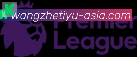 王者体育直播合作伙伴